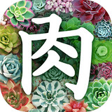 多肉植物app 2.5.11