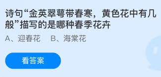 诗句金英翠萼带春寒，哪种春季花卉被如此赞美