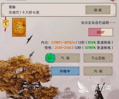 这就是江湖新手入门：开派初始星级多少