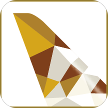 阿提哈德航空Etihad Airways 3.0.6