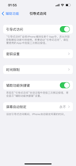 引导式访问在iPhone上为何不起作用