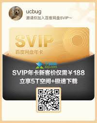 百度网盘2025年SVIP如何免费获取1天