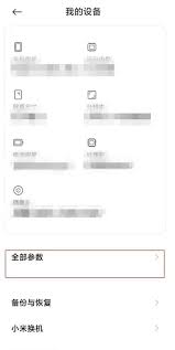 小米10s开发者选项怎么设置