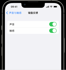 苹果手机打字声音太大怎么关