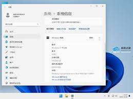 windows11蓝屏如何处理