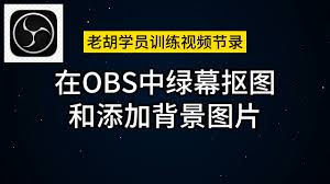 obs绿幕抠图教程
