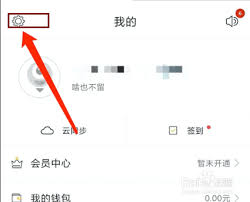 账王记账如何设置手势密码