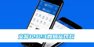 交警12123怎么查询年检