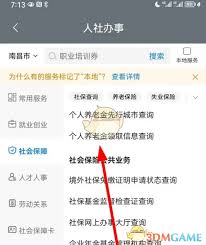 赣服通如何查养老金发放情况