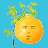 长脸的树安卓版 1.0.4