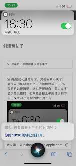 嘿siri说一个小时了还是显示听不清怎么办