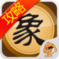 天天象棋攻略助手 v2.3.10