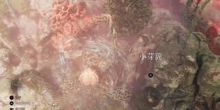 光与影33号远征队小芽簇支线任务怎么过