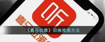 喜马拉雅如何更改视图