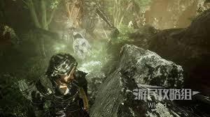光与影33号远征队维尔索克柔怎么获取