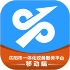 沈阳政务服务网app怎么查询保险