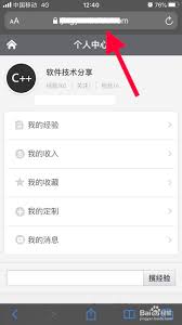 safari直接进入网址教程