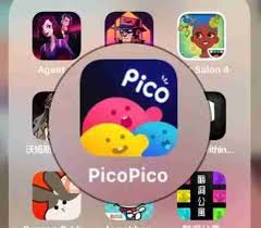 picopico如何设置匹配性别