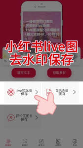 小红书live图不动怎么解决