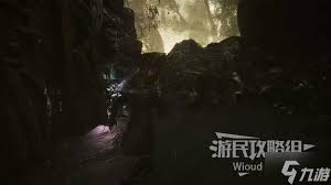 光与影33号远征队振奋清除怎么获取