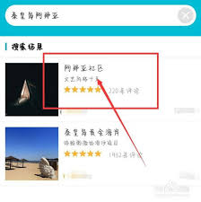 阿那亚app如何购票