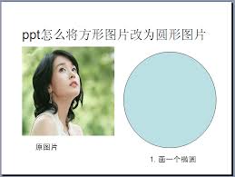 在ppt中如何将方形图片变成圆形