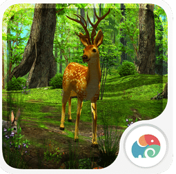 3D晨光森林 1.6.9