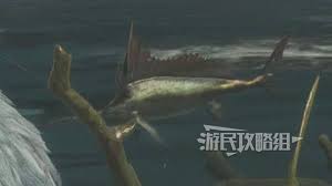 怪物猎人荒野中大王旗鱼的垂钓地点