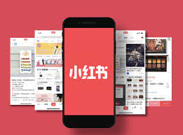 小红书专业号是什么类型