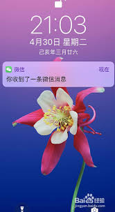 小象优品如何查看紧急联系人