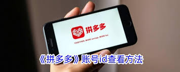 拼多多如何查看自己的账号ID