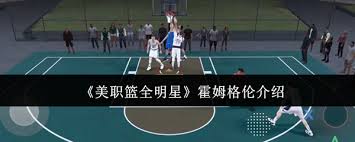 美职篮全明星霍姆格伦实力如何