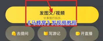 马蜂窝发布视频教程？教你轻松掌握旅行技巧
