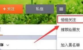 如何秘密关注