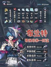 鸣潮布兰特声骸怎么推荐