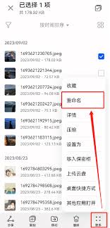 如何将文档转换成pdf格式