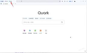 quark怎么使用磁力链接