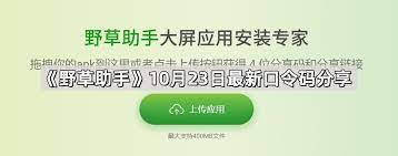 野草助手1月7日最新口令码是什么