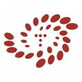 中国教师研修网 3.3.6