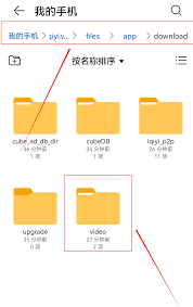 爱奇艺自制视频如何下载