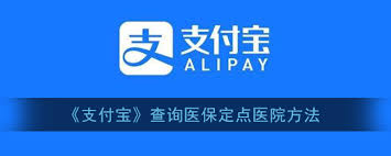如何通过支付宝查询医保定点医院