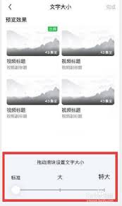 爱奇艺文字大小怎么改