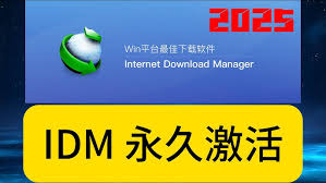 哪里能获取idm序列号2025