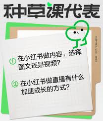 小红书如何做视频推广