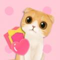 猫是液体 v1.0