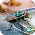 3D仿真苍蝇模拟器 1.3