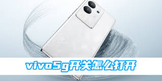 vivox60的5g开关在哪里