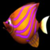 吞食鱼Feeding Frenzy 1.8