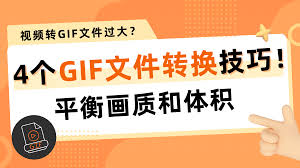 视频转GIF文件过大怎么办