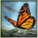 季禅hd v1.97